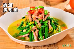 A6473家烧黄瓜苗