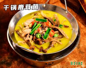 B3102干锅鹿茸菌
