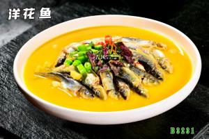 B3231洋花鱼