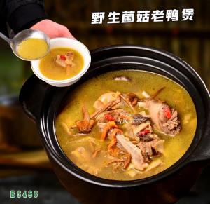 B3486野生菌菇老鸭煲