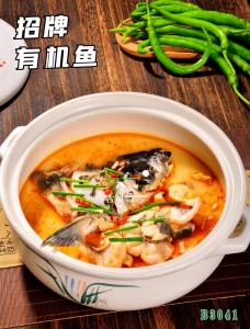 B3041招牌有机鱼