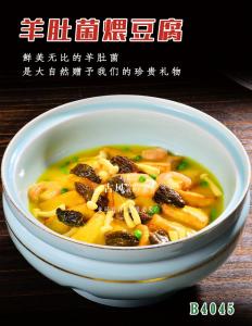 B4045羊肚菌煨豆腐