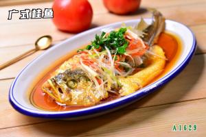 A1629广式桂鱼