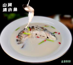 A2569山涧清水鱼