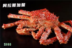 Z038阿拉斯加蟹
