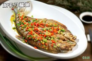C346阳干刁鲻鱼