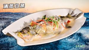 A5256清蒸白条
