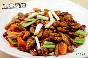 A5240椒盐蚕蛹