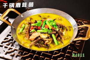 B4311干锅鹿茸菌