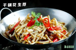 B4383干锅花生芽 干锅花生苗