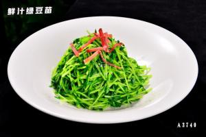 A3740鲜汁绿豆苗