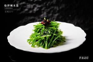 F3537炝拌辣木苗