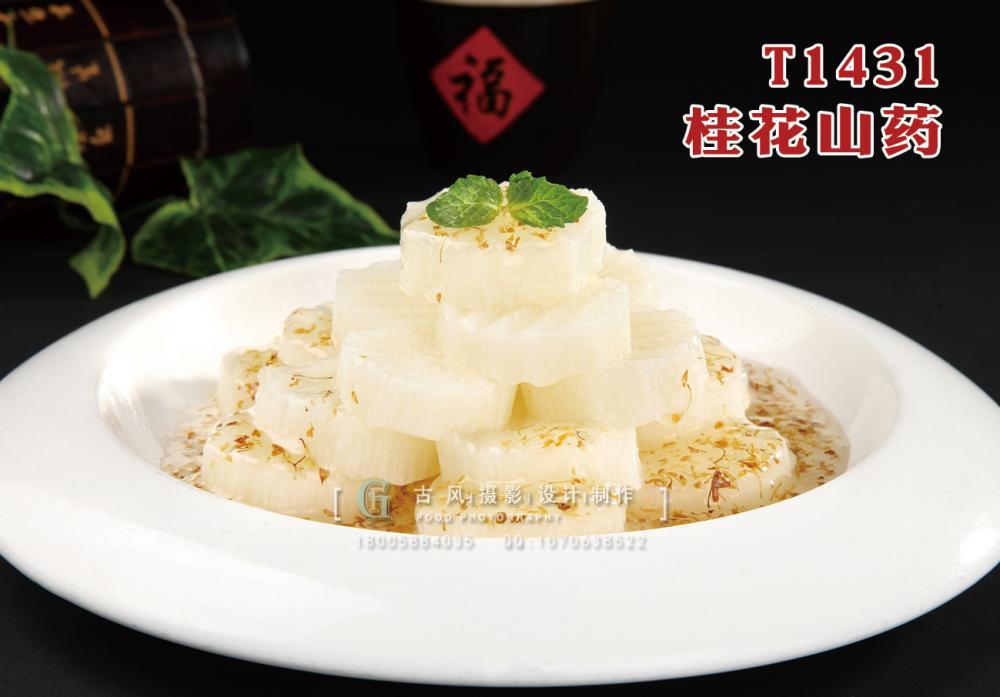 T1431桂花山药 副本