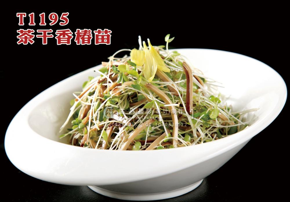 T1195茶干香椿苗 副本
