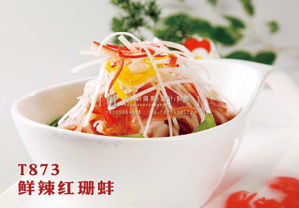 T873鲜辣红珊蚌 副本