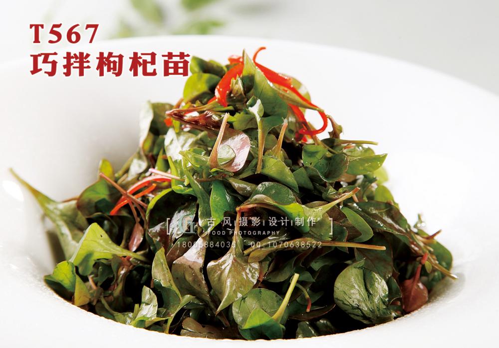 T567巧拌枸杞苗 副本