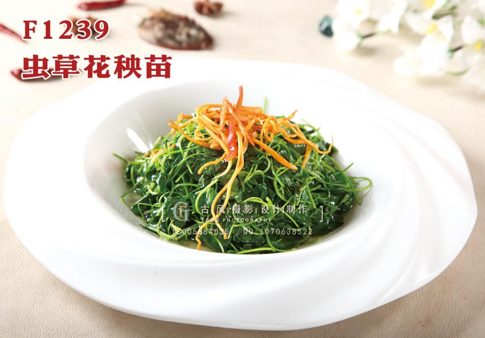 F1238蟲草花雞湯浸木耳 副本