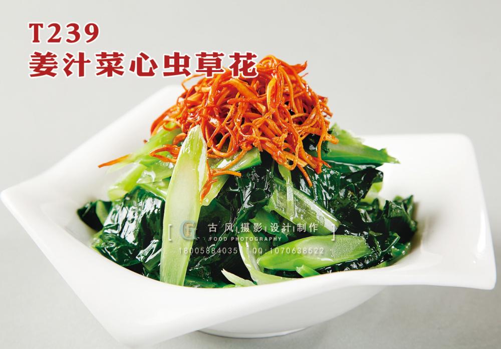T239姜汁菜心蟲草花 副本