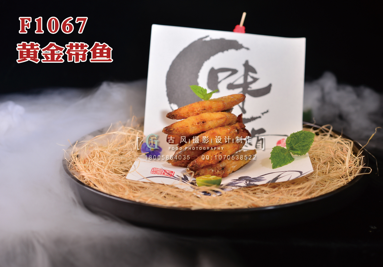 F1067黄金带鱼 副本