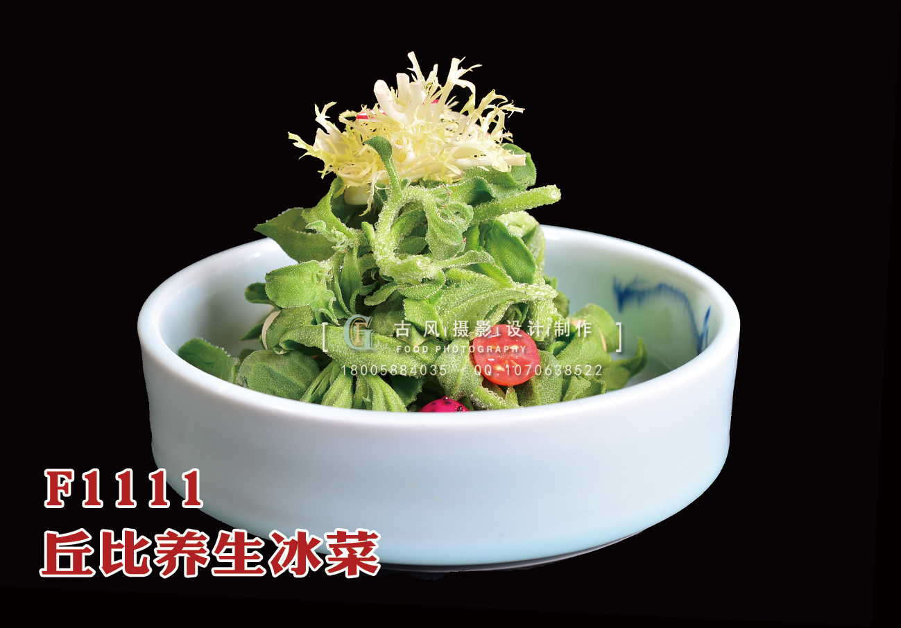 F1111丘比養(yǎng)生冰菜 副本