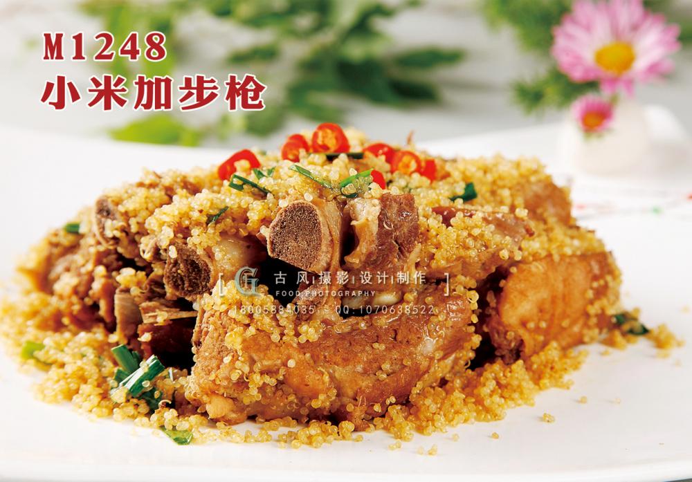 M1248小米加步枪 副本
