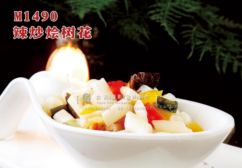 M1490辣炒烩树花 副本