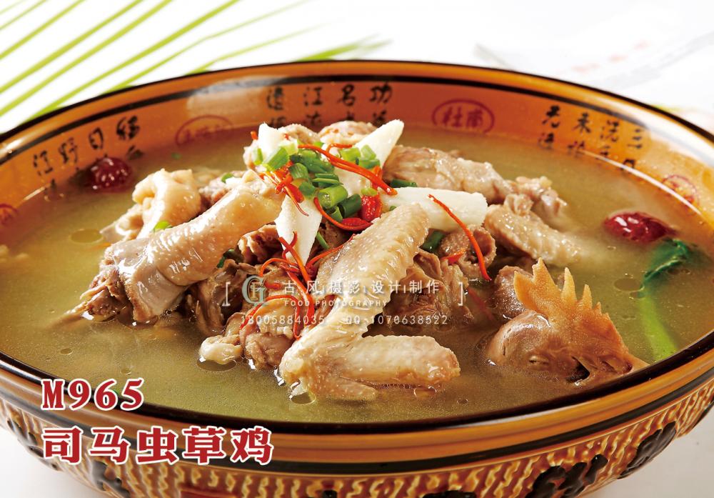 M965司马虫草鸡 副本
