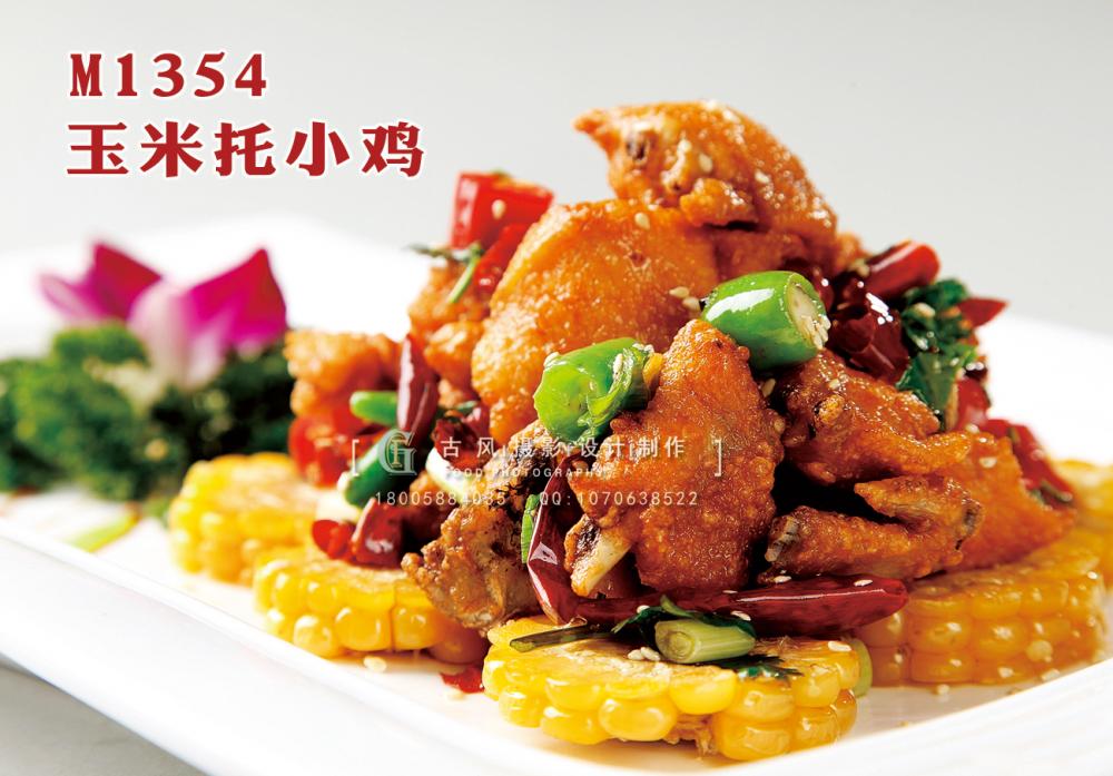 M1354玉米托小鸡 副本