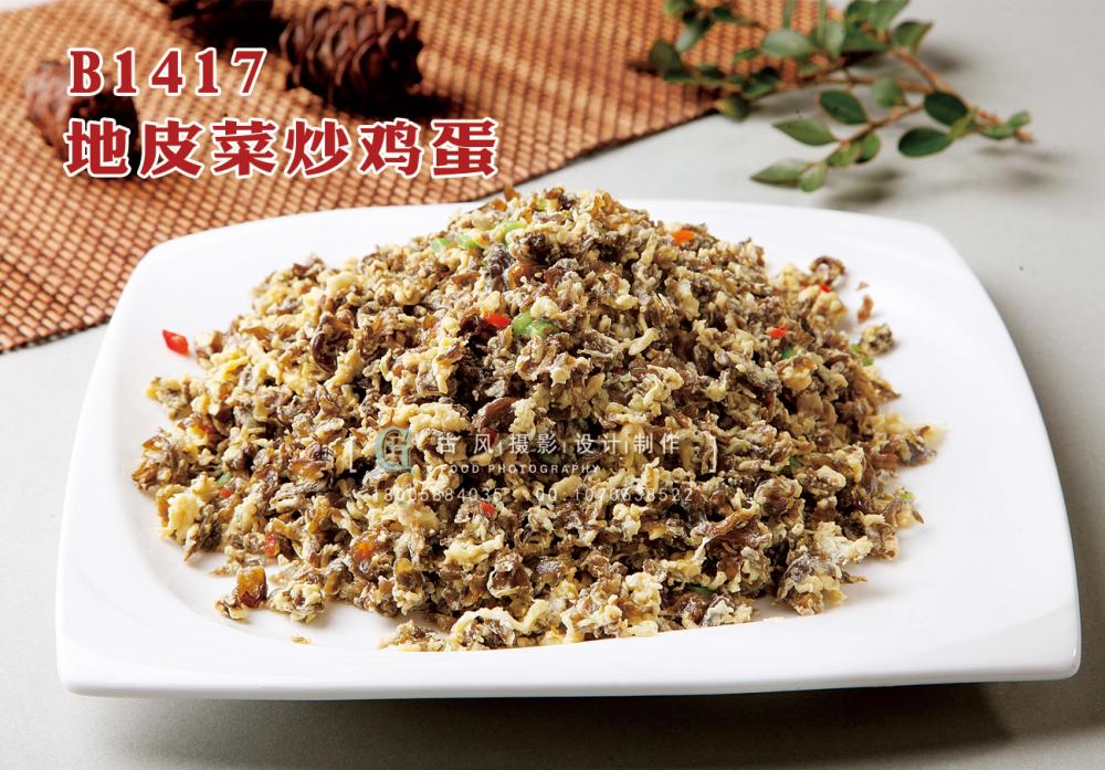 B1417地皮菜炒鸡蛋 副本