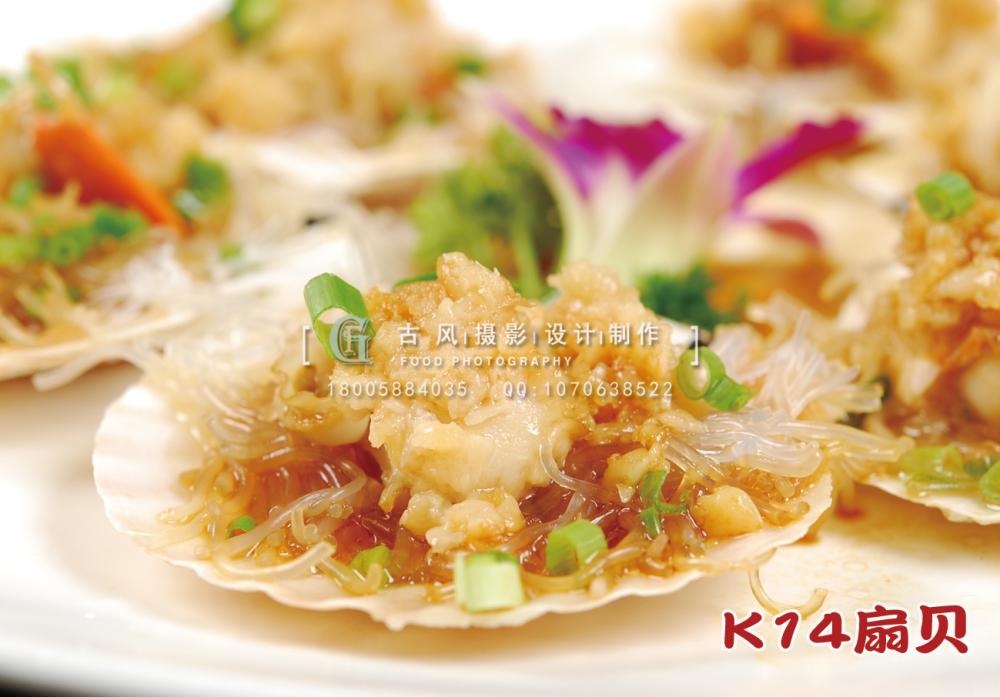 K14扇贝 副本
