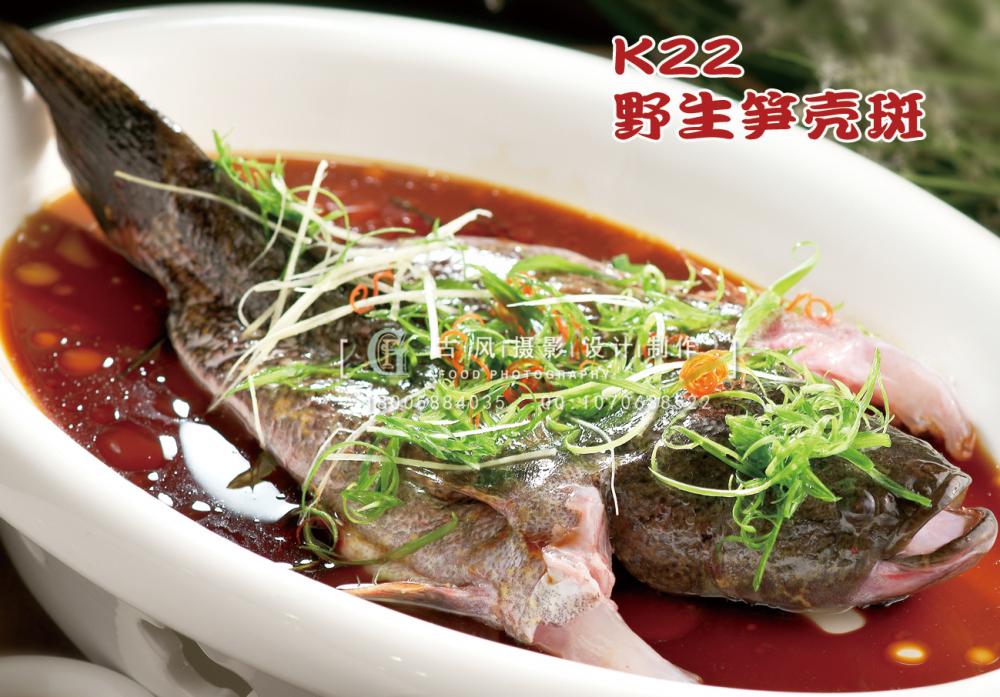 K22野生笋壳斑 副本