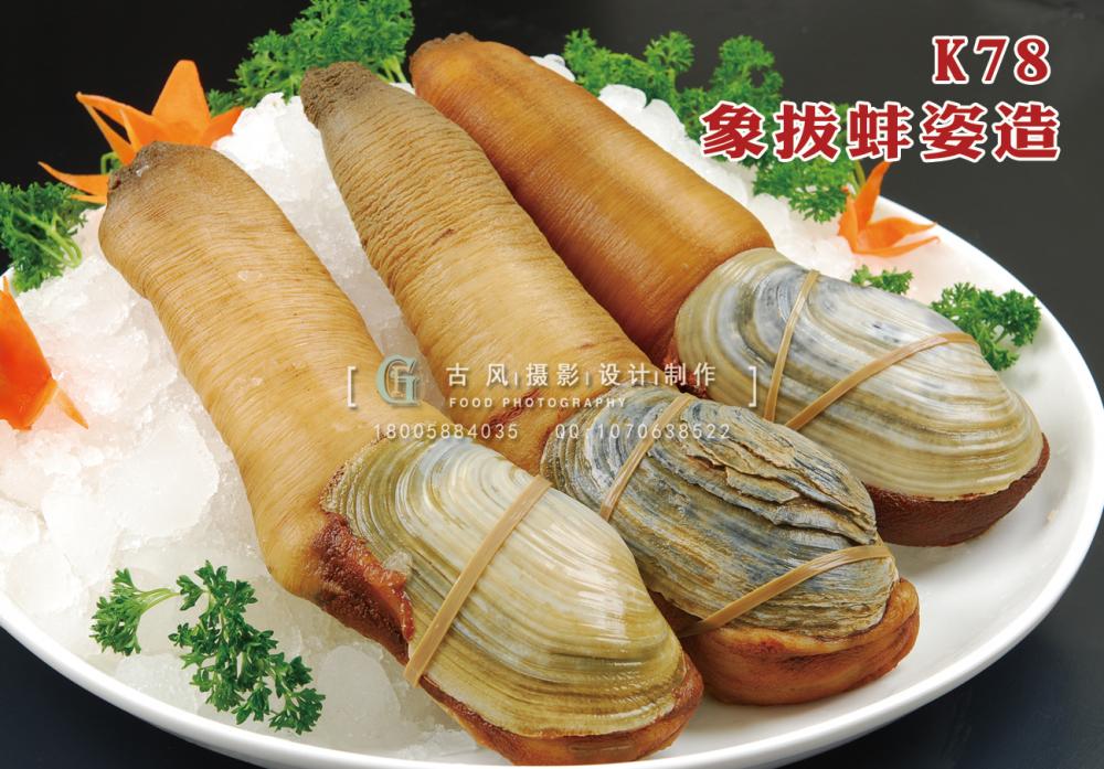 K78象拔蚌姿造  时价 副本
