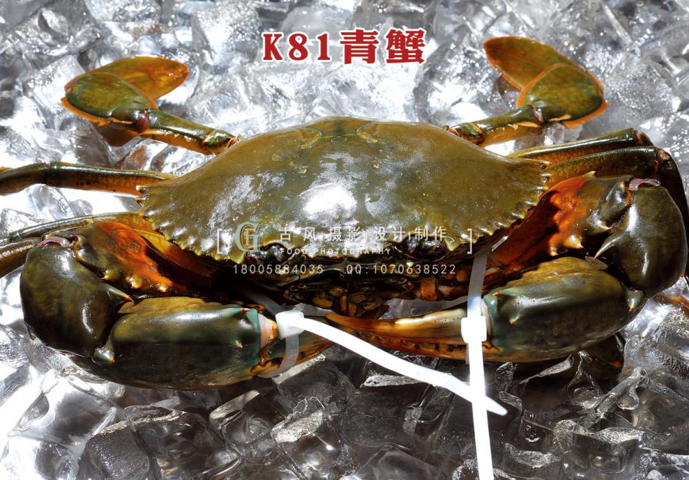 K81青蟹 副本