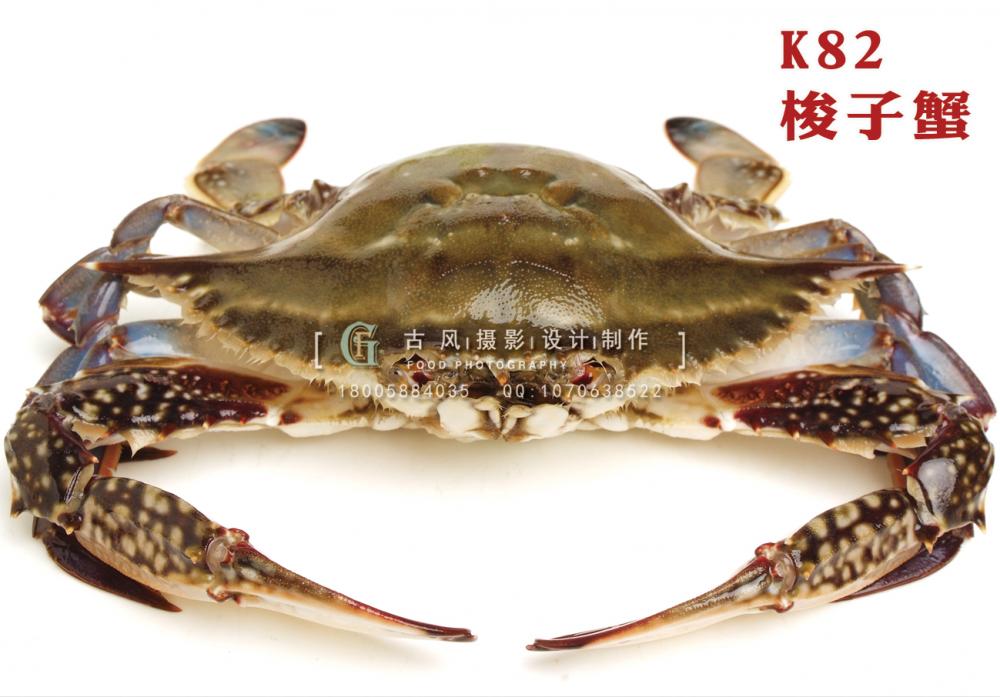K82梭子蟹 副本