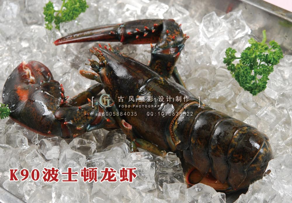 K90波士顿龙虾 副本