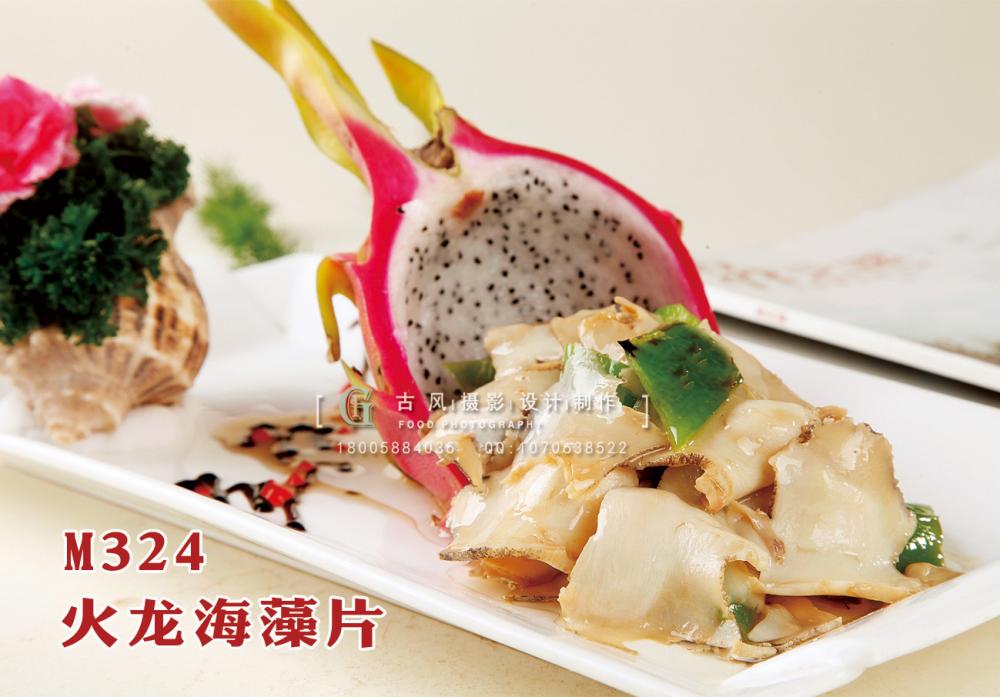 M324火龙海藻片 副本