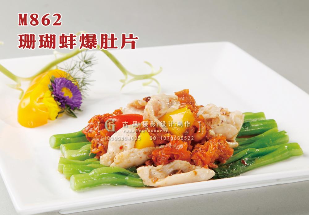 M862珊瑚蚌爆肚片 副本