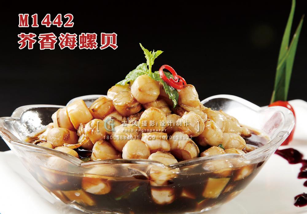 M1442芥香海螺贝 副本