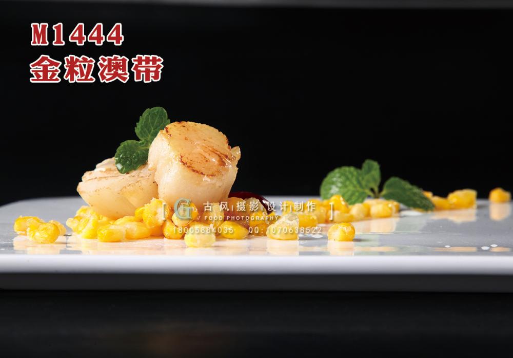 M1444金粒澳带 副本