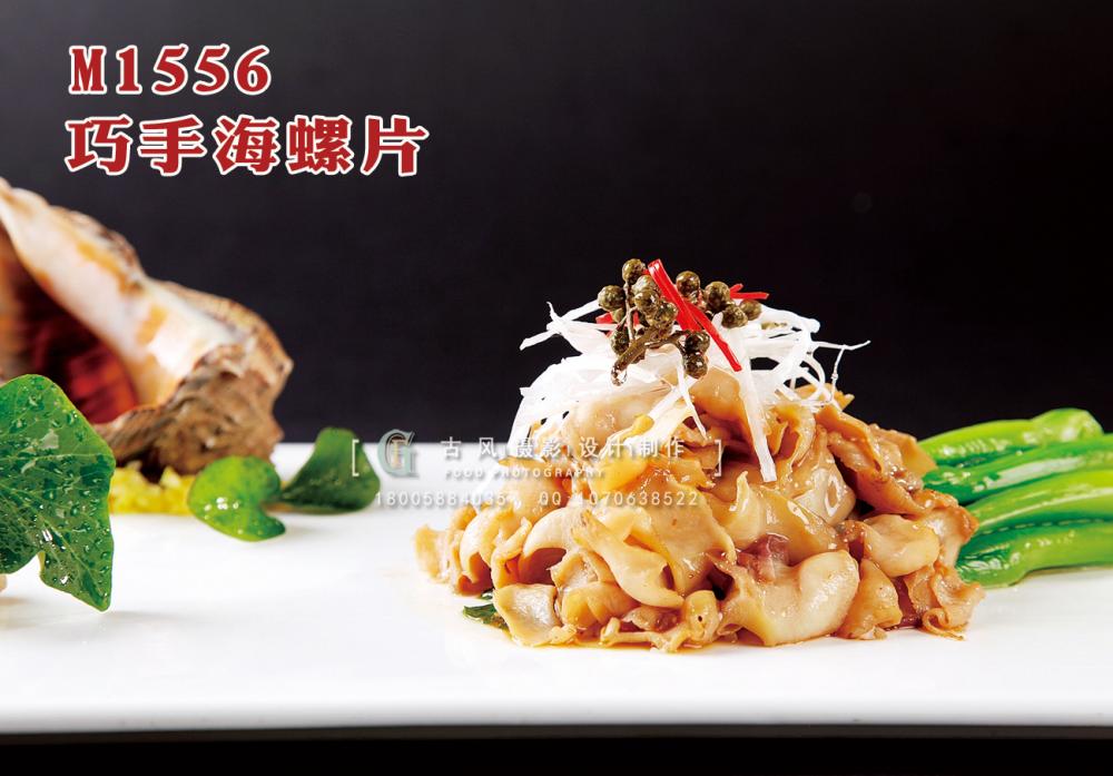 M1556巧手海螺片 副本