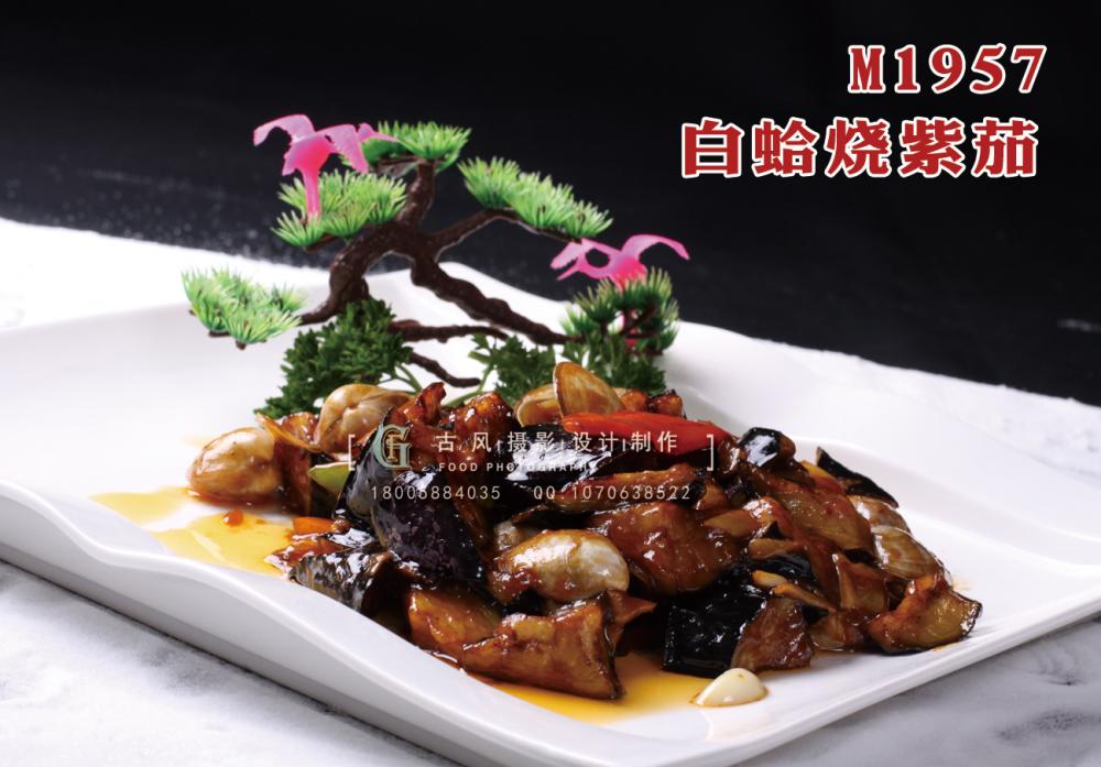 M1957白蛤烧紫茄 副本