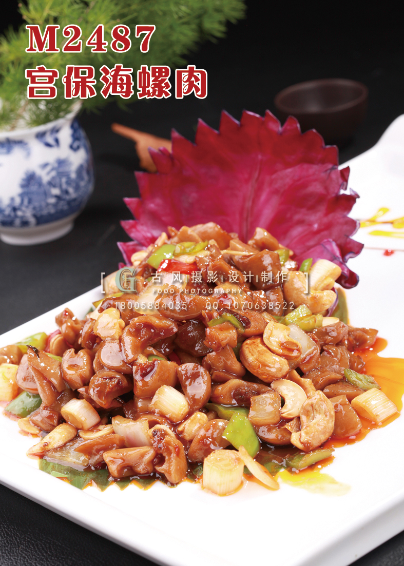 M2487宫保海螺肉 副本