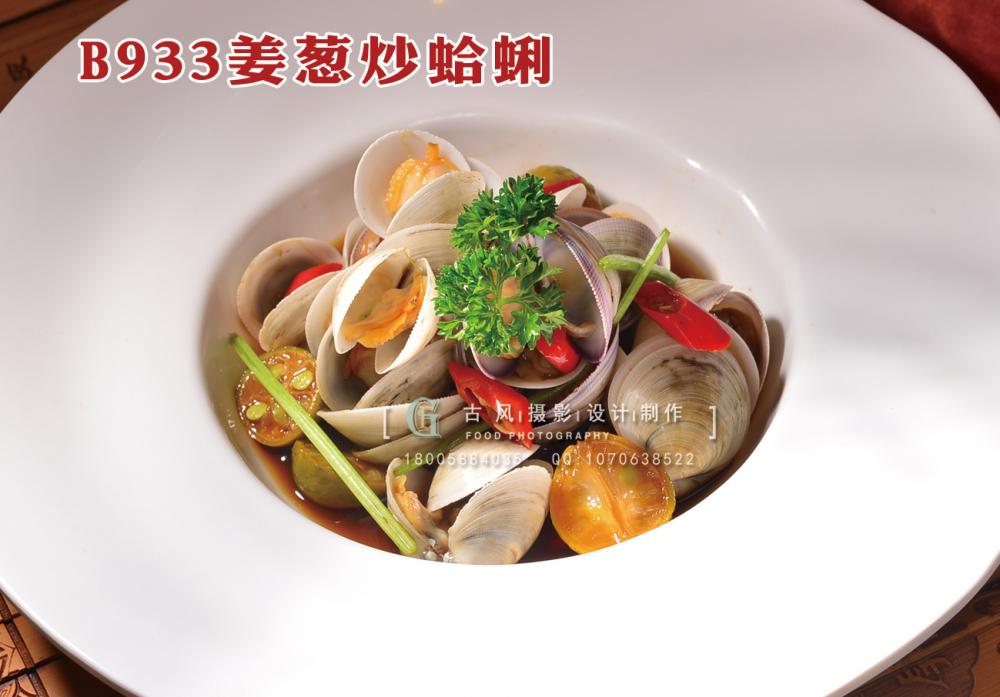 B933文蛤 (1) 副本
