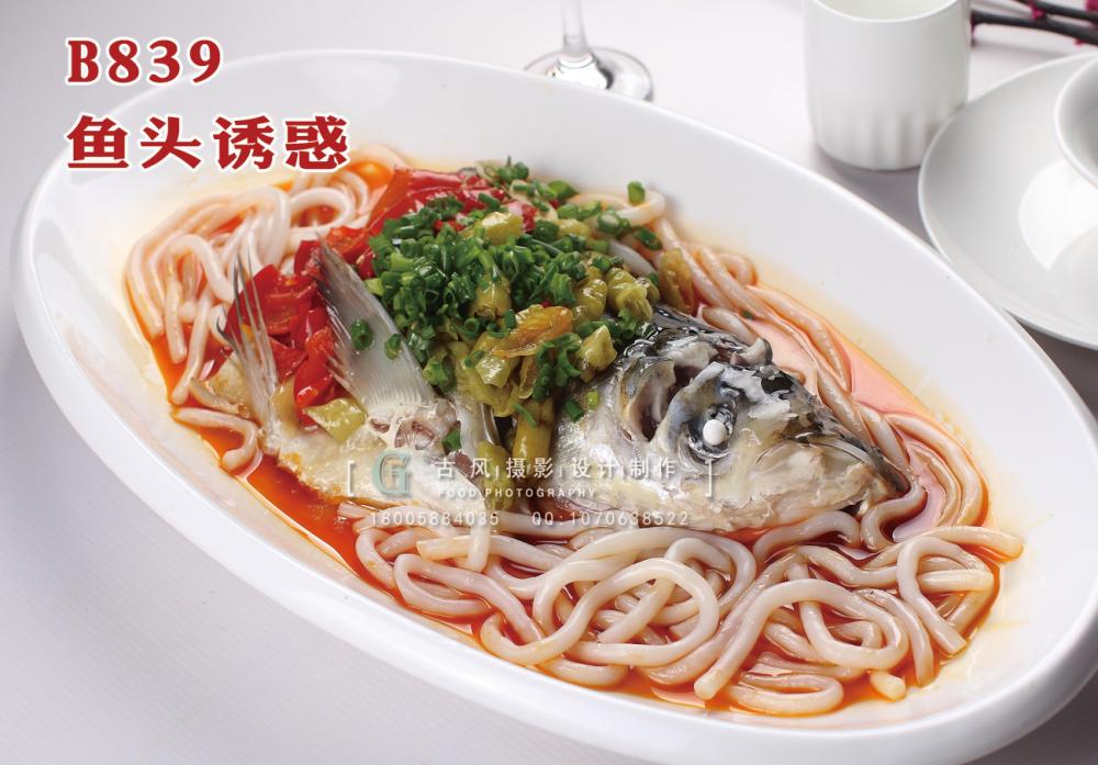 B839鱼头诱惑 副本