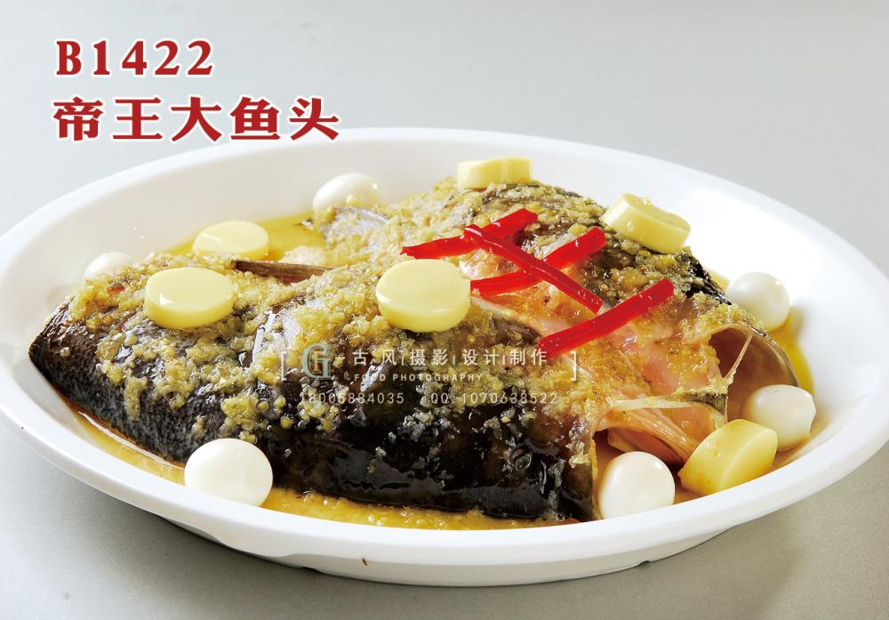 B1422帝王大鱼头 副本