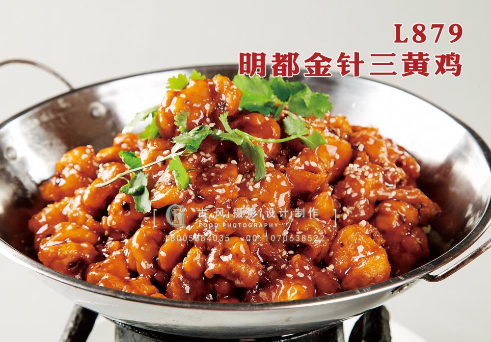 L879明都金针三黄鸡 副本