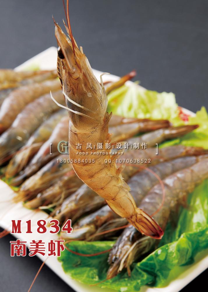 M1834南美虾 副本