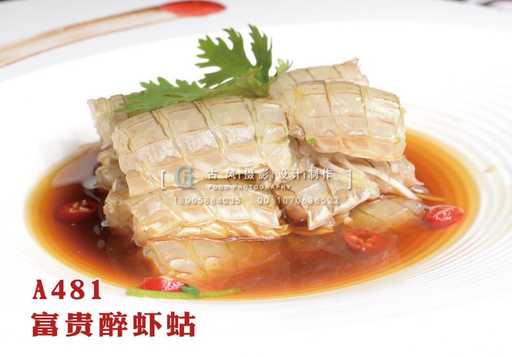 A481  富贵醉虾蛄 副本