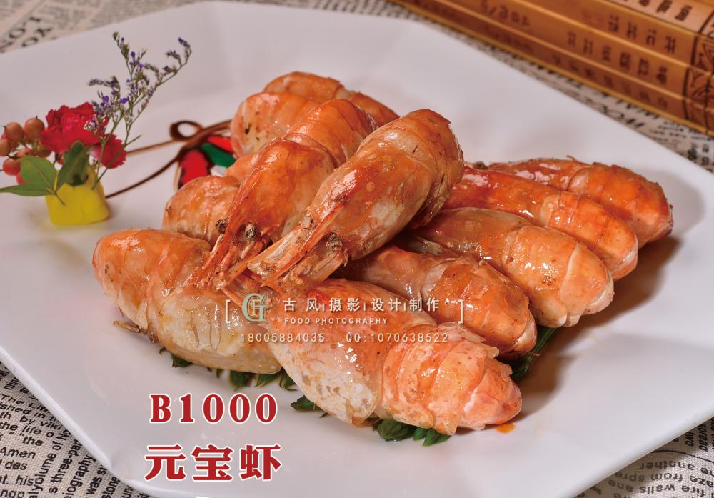 B1000元宝虾 (3) 副本