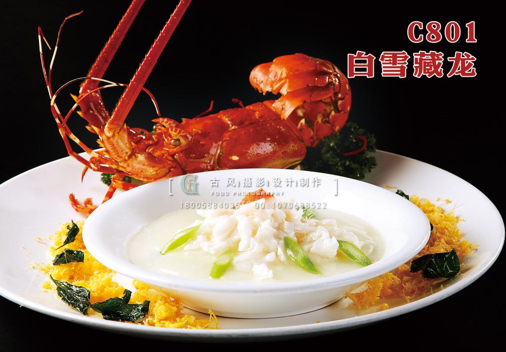 C801白雪藏龙 副本